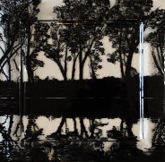 Reflecting Gums