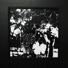 Vines