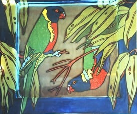rainbow parrots